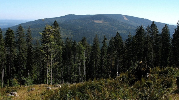 Smrčina na Šumavě, severní svahy hory spadají do I. zóny NP Šumava, opačná Smrčina na Šumavě, severní svahy hory spadají do I. zóny NP Šumava, opačná