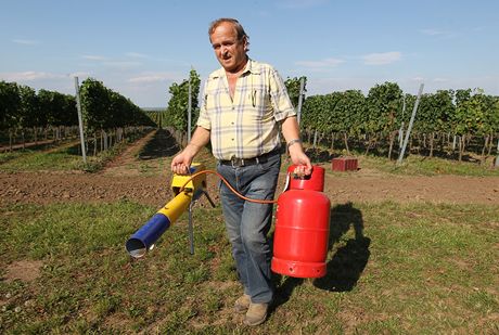 Vedoucí výroby hrozn Znovínu Znojmo Ondej Kubic s propanbutanovým dlem na