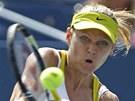 RETURN. esk tenistka Lucie afov returnuje v utkn s Niculescuovou. Vbec