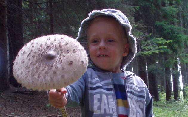 Na našem rodinném houbaření. Náš syn Štěpánek poprvé na houbách a jeho první Na našem rodinném houbaření. Náš syn Štěpánek poprvé na houbách a jeho první