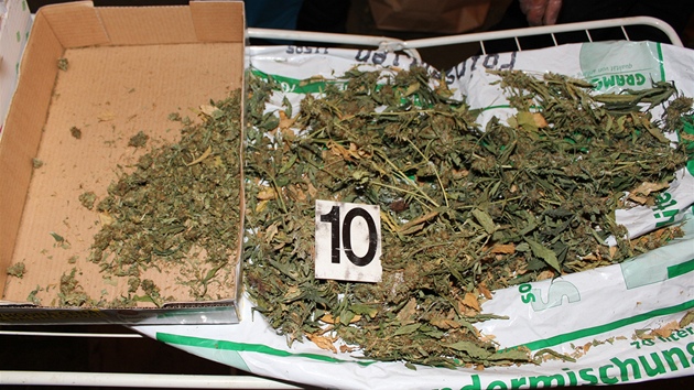 Pstírna marihuany odhalená 1. záí policisty Pardubického kraje. 