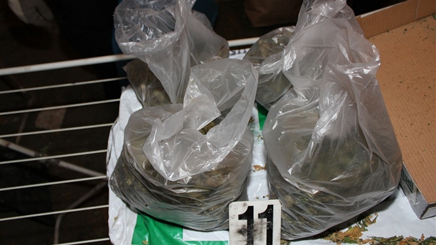 Pstírna marihuany odhalená 1. záí policisty Pardubického kraje. 