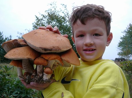 Tak takovou kemenáí rodinku nala nae rodinka v srpnu 2007. Jejich kabátky