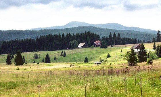 Starostové upozorují na vylidování umavských obcí. Tvrdí, e kvli parku se zde nedaí turismu a nabídka práce je omezená.