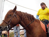 Vozki si pi Tour de Labe v Pardubicch vyzkoueli i jzdu na koni