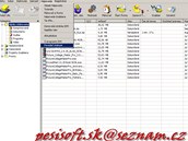 Internet Download Manager