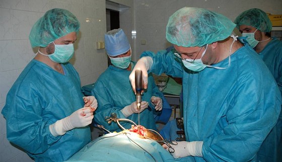 Specialisté chirurgie a ortopedie Kliniky chorob ps a koek Fakulty