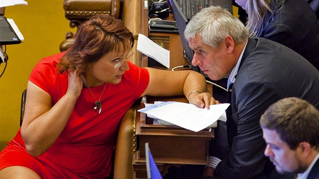 Jana Drastichová a Jiří Štětina (oba VV) v Poslanecké sněmovně (27. září 2011) Jana Drastichová a Jiří Štětina (oba VV) v Poslanecké sněmovně (27. září 2011)