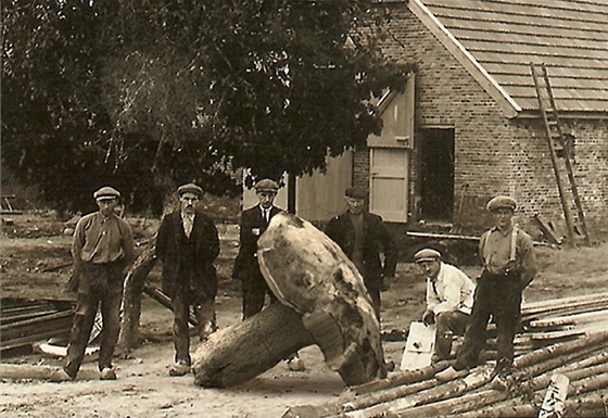 Unikátní historické foto, které pistálo v naí e-mailové schránce.