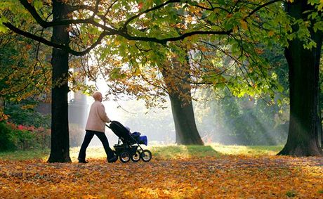 Senior neváhal poplivat manele ani koárek, ve kterém vezli miminko. (Ilustraní snímek)