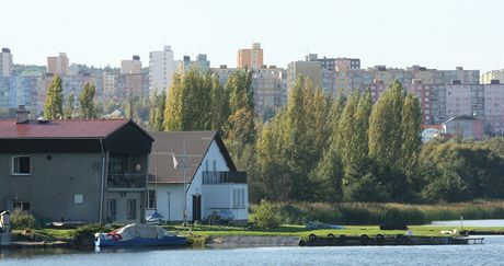 Topolová alej na severozápadní stran Velkého boleveckého rybníka v Plzni se