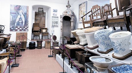 V tebotovském muzeu je vystaveno také devadesát toaletních idlí a dalí