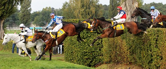 Zlatá pilba i Velká Pardubická se pobí souasn. Poadatelé závod se nedokázali domluvit.