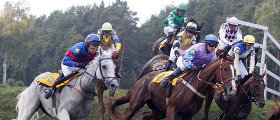 TETÍ. Duan Andrés s Valldemosem nakonec vybojoval na Velké pardubické tetí