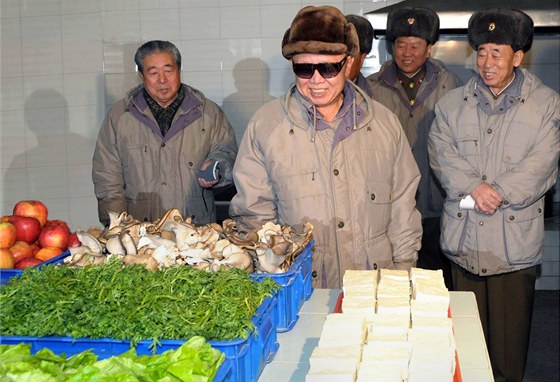 Kim ong-il obhlíí závod na výrobu potravin