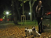 Noční procházka městským parkem v Ostravě Noční procházka městským parkem v Ostravě