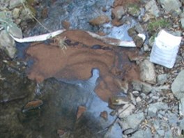 Skvrna z nafty v potoku Trnvka po havrii kamionu u Petvaldu na Novojinsku.
