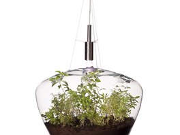 Svítidlo - skleník, design: Kristýna Pojerová (2011), hmotnost me dosáhnout