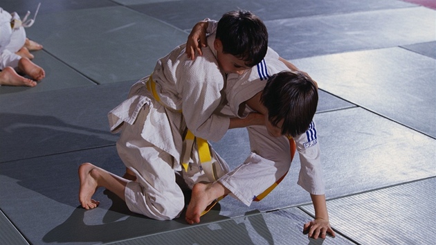 Dtské judo - ilustraní foto