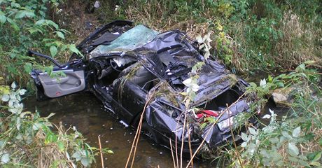 idi Octavie nezvládl zatáku a narazil do stromu. Zranil sebe a ti dalí lidi. Policisté mu namili tém dv promile alkoholu v dechu. Ilustraní snímek.