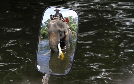 Thajec jede na slonu, který se brodí zaplavenou ulicí v provincii Ayutthaya