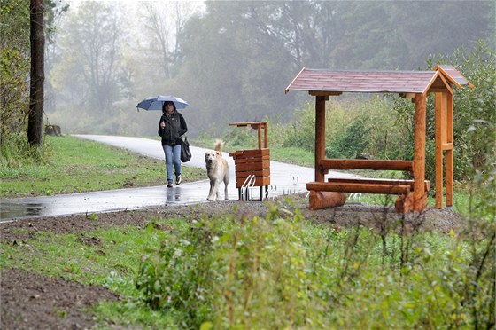 Majitelé ps opt mohou své miláky venit v Blském lese bez obav z napadení. (ilustraní snímek)