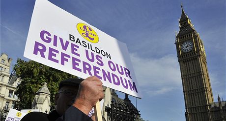 Stoupenci konání referenda demonstrovali ped britským parlamentem