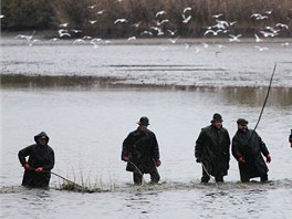 "Rybí pou" s mnoha stánky a dokonce i s muzikou se v Lázních Bohdane koná v...