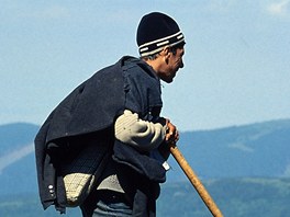 Pastevec na hebeni poho Sureanu v rumunskch Karpatech