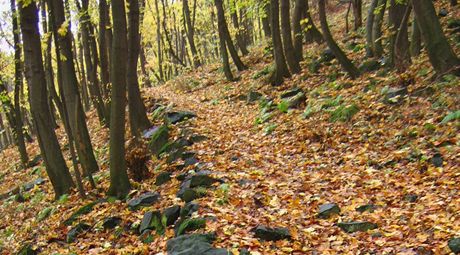 V údolí ek Oslavy a Balinky u Velkého Meziící vzniknou nové nauné stezky. (Ilustraní snímek)