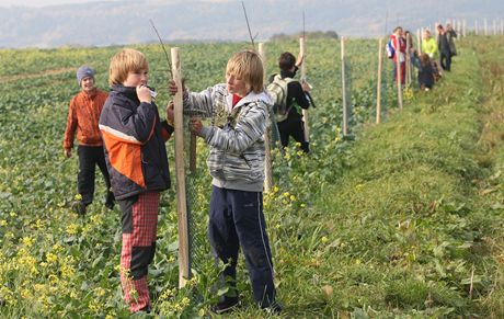 Dobrovolníci sázejí 625 stromk vedle silnice z Jeseníku nad Odrou do Vraného na Novojiínsku