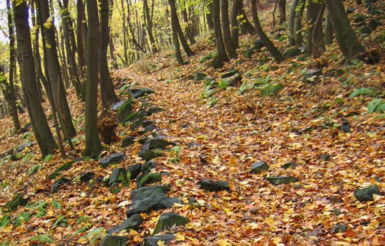 V údolí ek Oslavy a Balinky u Velkého Meziící vzniknou nové nauné stezky. (Ilustraní snímek)