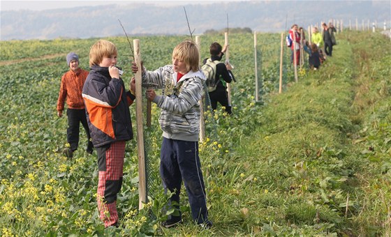 Dobrovolníci sázejí 625 stromk vedle silnice z Jeseníku nad Odrou do Vraného na Novojiínsku