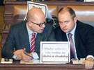 Bohuslav Sobotka a Michal Haek pi jednn Poslaneck snmovny (2. listopadu