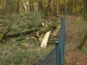 Lidmi oblben les ve Stelicch u Brna nechal majitel oplotit. Ke stavb,