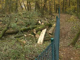 Lidmi oblben les ve Stelicch u Brna nechal majitel oplotit. Ke stavb,