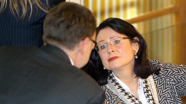 Poslanec VV Vít Bárta hlasuje bhem jednání Poslanecké snmovny. (1. listopadu 2011)