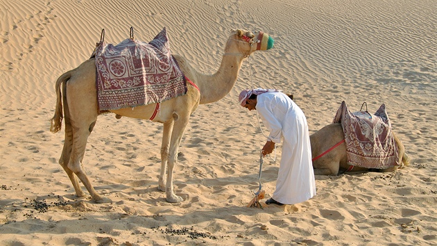 Poblí oázy Al Khazna ve Spojených arabských emirátech