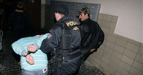 Policisté museli pi zatýkání pouít fyzickou sílu, mladík se bránil (Ilustraní snímek).