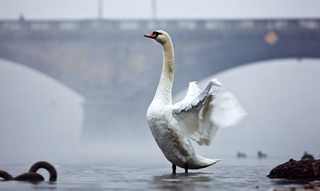 Oblaha bude od úterý a do konce týdne vtinou zataená. Ilustraní foto.