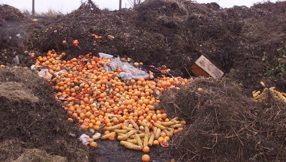Plánovaná kapacita kompostárny se pohybuje kolem pti tisíc tun ron. (Ilustraní snímek)