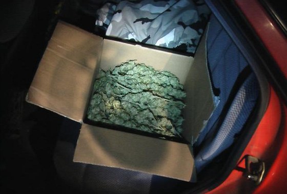 V kufru vozu Ford Escort nala policejní hlídka krabici plnou suené marihuany.