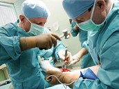 Lkai sokolovsk nemocnice pi uniktn operaci novho typu endoprotzy