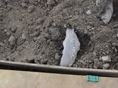 Zkuebn vrty odhalily v podlo dlnice D1 na Ostravsku nejrznj odpad..