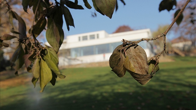 Do opravené vily Tugendhat se první návtvníci podívají 6. bezna 2012. Ilustraní snímek