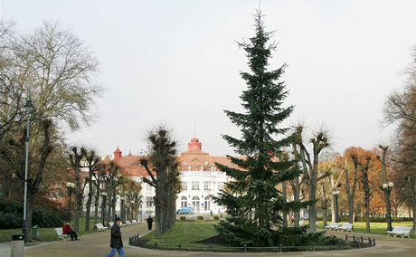 Vánoní strom zdobí od úterního rána Karlovy Vary.