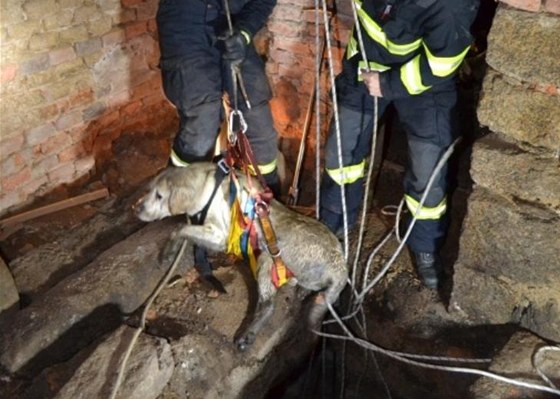 Záchrana psa, který spadl v dom v Liberci do estimetrové studny.
