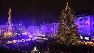 V Olomouci se setkávají s tím, e vandalové na tamním vánoním stromu (na snímku) peezávají etzy. V jiných mstech mají zase problémy se zlodji, kteí vánoní výzdobu kradou.