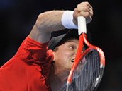 PODN. Tom Berdych sevrruje v utkn proti Janku Tipsareviovi.