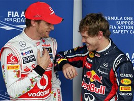 DOBR NLADA. Vtz kvalifikace Velk ceny Brazlie Sebastian Vettel (vpravo)